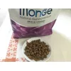 Monge adult cat 