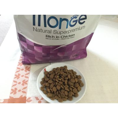 Monge adult cat