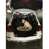 Oscar im GLK 220 Mercedes