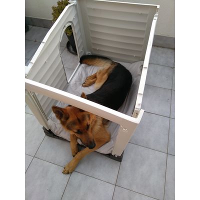 Klaus no espera ni a montarlo
