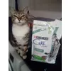 Sou feliz com cat chow - ikki