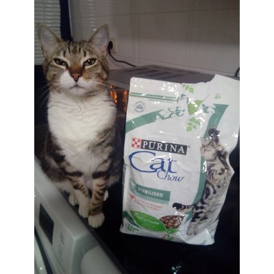Sou feliz com cat chow - ikki