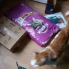 Whiskas products and happy cat Cheddar