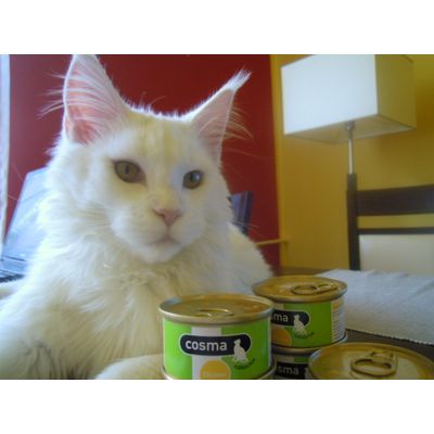 Cosma