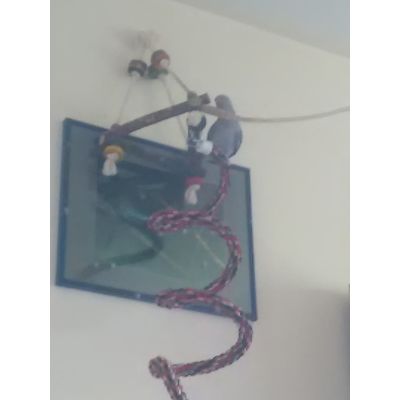 Halsband Turnen