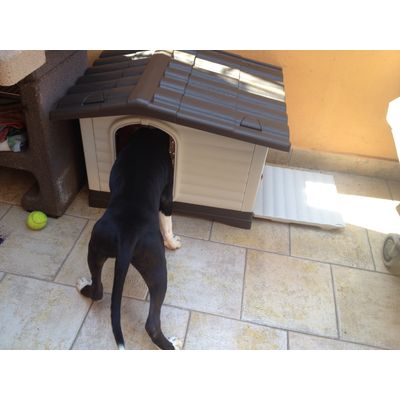 Ispeziona la nuova Casa