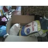 Miam Miam Royal Canin