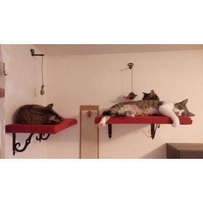 they loveit