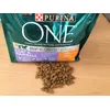 Purina ONE Hairball 