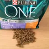 Purina ONE Hairball