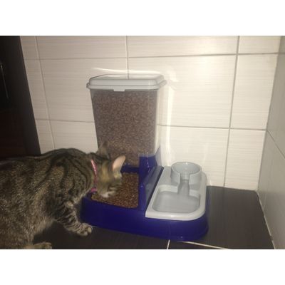 Dozator pt Kitty si Mao