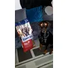 Happy Dobermann