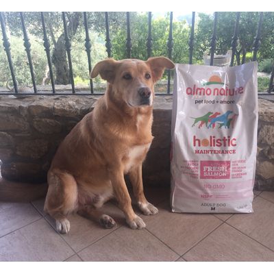 Marley 7 anni