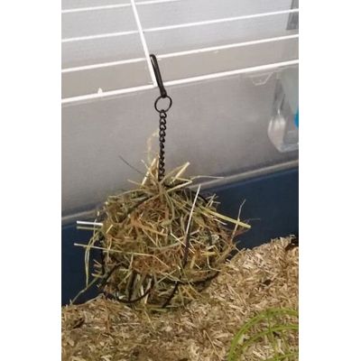Food-ball