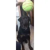 Todo poderoso