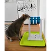 Cat Activity