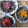 Blomster