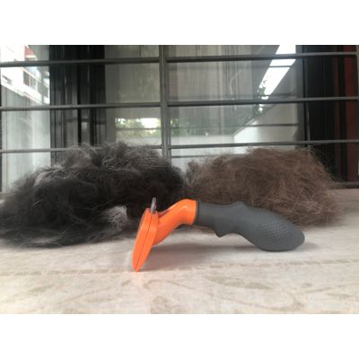 Resultado en 2 border collie
