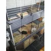 Twee koppels samen en toch apart
