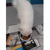 mmm vkusno