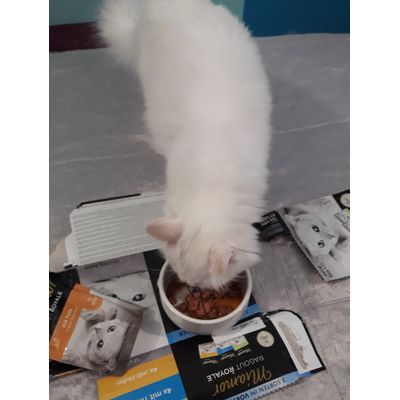 mmm vkusno