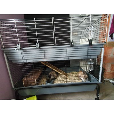 Cage vital