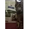 Luca a dieta