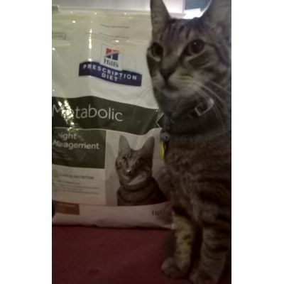 Luca a dieta