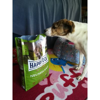 Zoetta fedele consumatrice happy dog