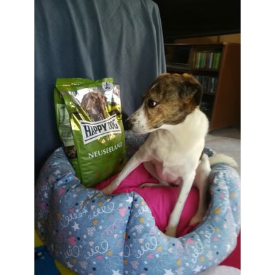Zoetta fedele consumatrice happy dog