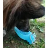 Roni loves his bottle 