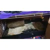 Cats Best Universal