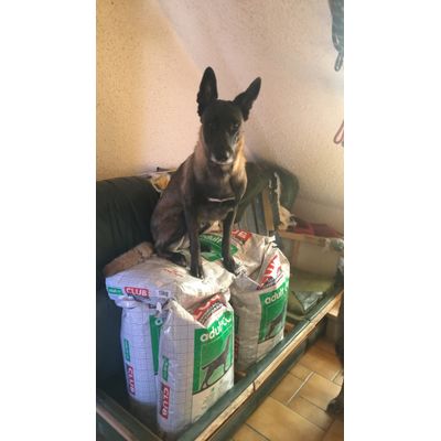 Royal canin