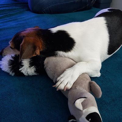 Zoey mit ihrem Lieblingsspielzeug