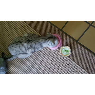 Mmm lecker lecker
