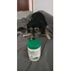 Lupo pelety