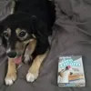 Zmrzliny