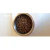 Hypoallergenic Insect Protein