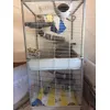 Cette cage est super 