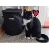 KIMBA 