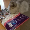 Mimi