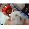 Bebe precioso