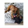 Un chien heureux