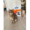 Milo is er blij mee