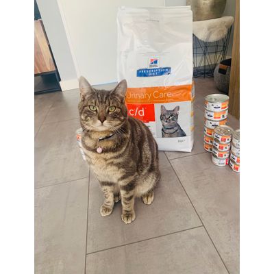 Milo is er blij mee