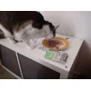rico rico