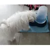 Waterdispencer
