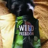 Miaulicious