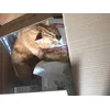 Il mio tesssssoroo