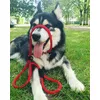 Onyx 1 an 30kg